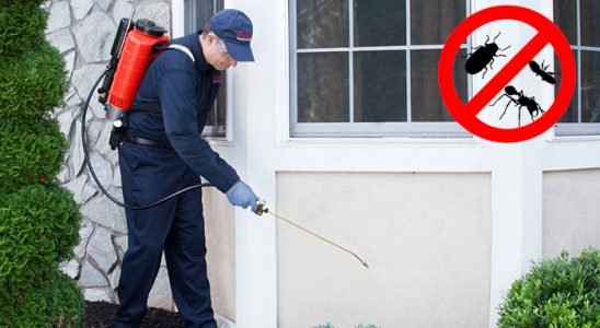 Şarkışla Dezenfeksiyon böcek ilaçlama ve haşere kontrolü — ilaclama-tr.com